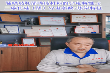 48 强吸波和弱吸波材料的介电特性-2 二碳化硅(弱)介电参数+热学特征